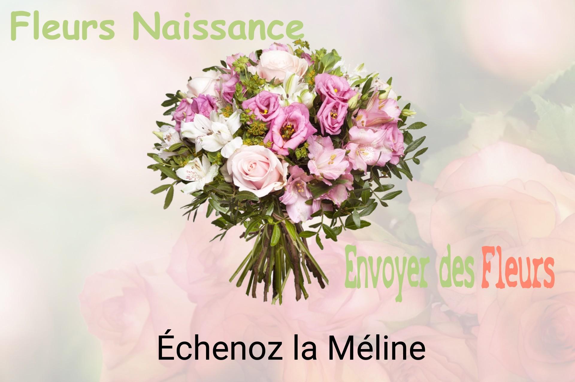 Bouquet de fleurs de naissance livré à Échenoz-la-Méline